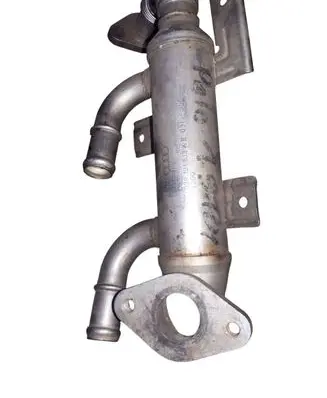 Skoda Roomster (5J) EGR valve cooler 038131513K