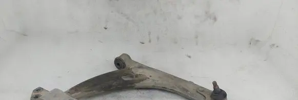 Front lower control arm/wishbone