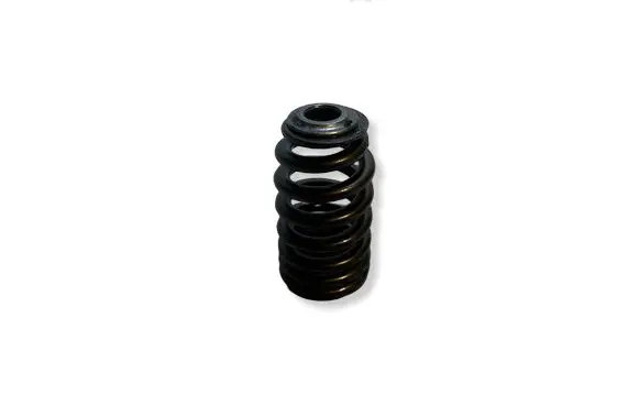 Dodge Challenger Valve spring 