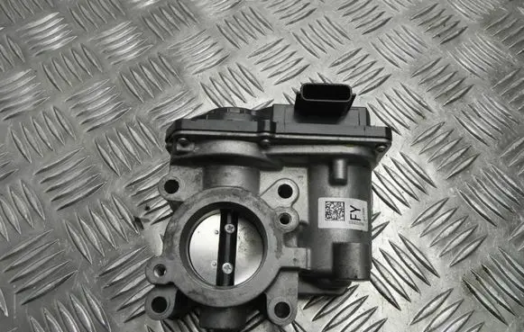 Throttle body valve