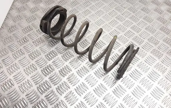 Rear coil spring