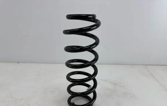Rear coil spring