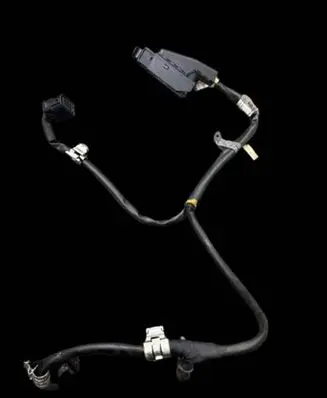 Iveco Daily 5th gen Other wiring loom 6029005042
