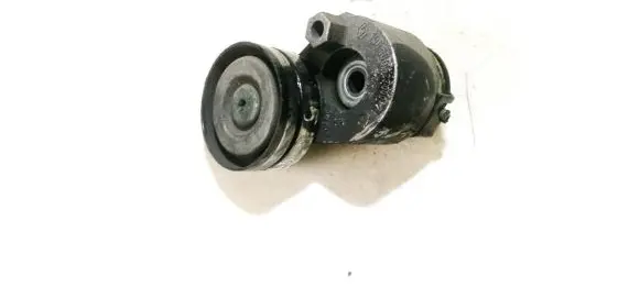 Volvo S40, V40 Generator/alternator belt tensioner 1905666230002