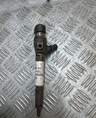 Nissan Qashqai Fuel injector H8200294788