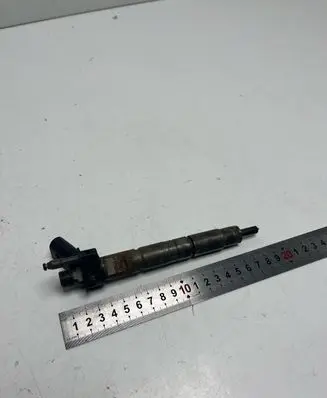 BMW 5 GT F07 Fuel injector 0445116
