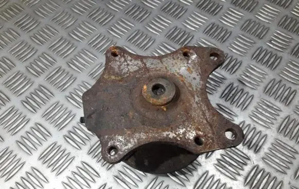 Peugeot 307 Stub axle 