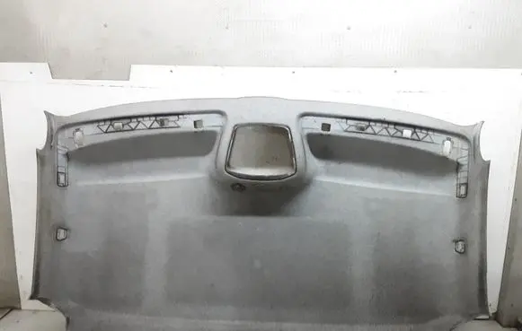 Mercedes-Benz Sprinter W906 Headlining A9066901650