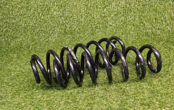 Rear coil spring