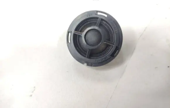 Front door high frequency speaker