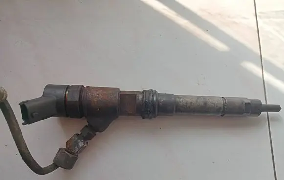 Peugeot Boxer Fuel injector 0445110248