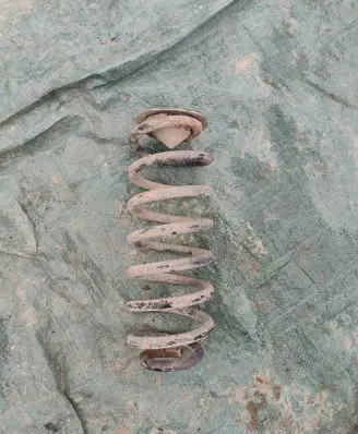 Rear coil spring