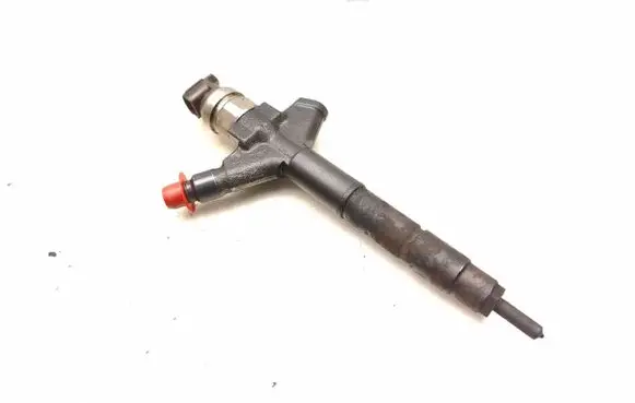 Nissan Navara Fuel injector 166005X00A