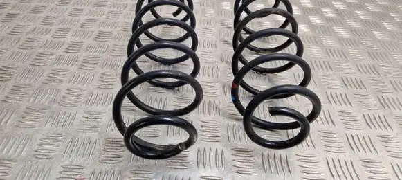 Rear coil spring