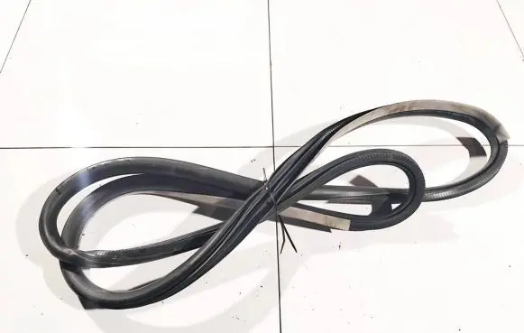 Renault Laguna III Rubber seal front coupe door 