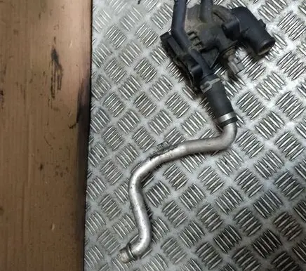 Thermostat/thermostat housing