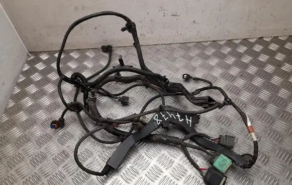Tesla Model S Other wiring loom 100443007S