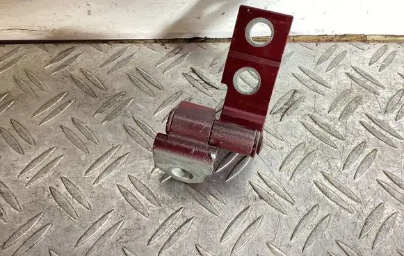 Rear door lower hinge