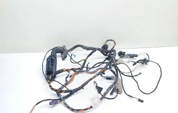 BMW X5 E70 Front door wiring loom 9242070