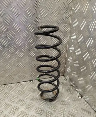 Rear coil spring