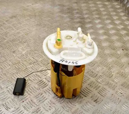 Citroen C6 In-tank fuel pump