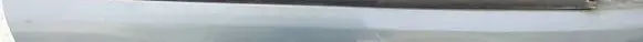 Renault Scenic I Front door glass trim molding 