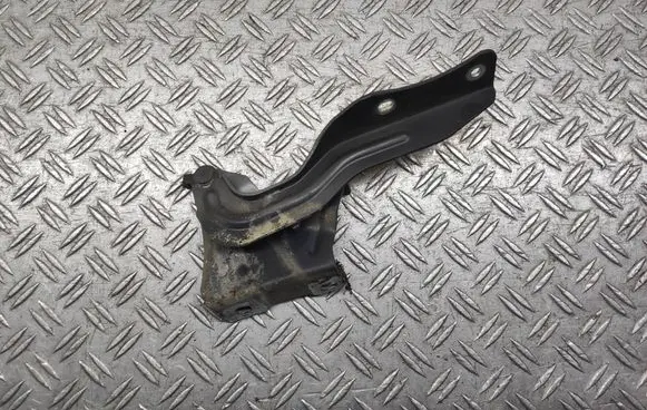 Nissan Qashqai Engine bonnet/hood hinges 4LAR
