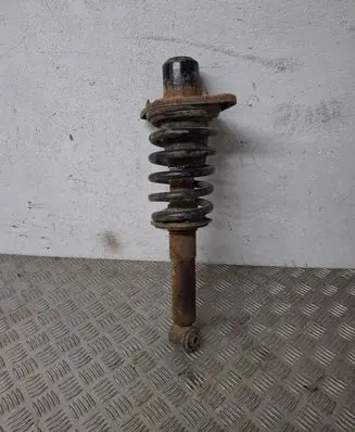 Volkswagen PASSAT B5.5 Rear shock absorber with coil spring 