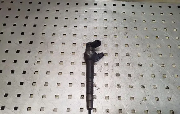 Volkswagen PASSAT B7 Fuel injector 0445110646