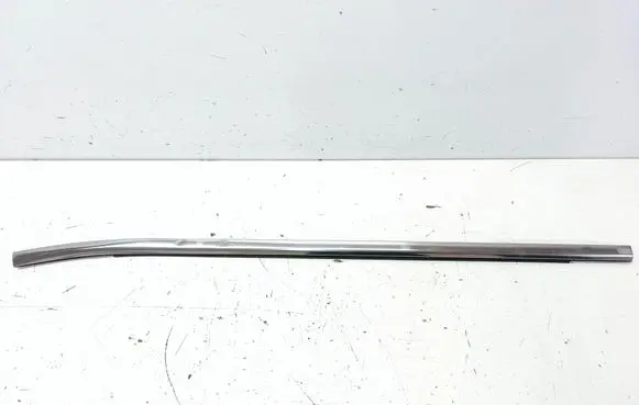 Chrysler Pacifica Front door trim (molding) M876