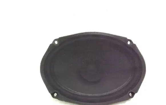 Chrysler 300 - 300C Rear door speaker P05059063AC
