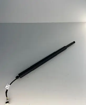 Tailgate strut