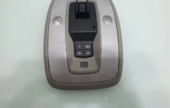 Volvo C30 Front seat light 39855430