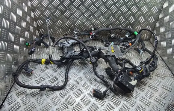 Citroen Jumpy Engine installation wiring loom 9800137480 9835331780