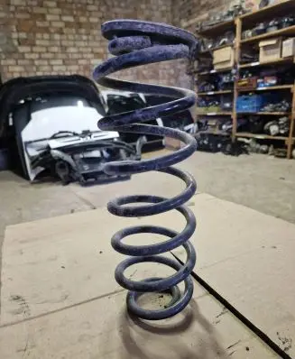 Volkswagen PASSAT B6 Rear coil spring