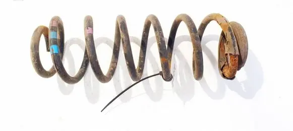 Rear coil spring