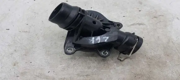 Thermostat/thermostat housing