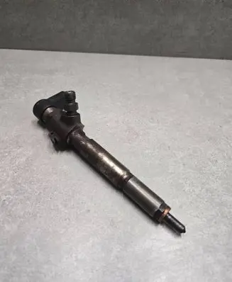 Nissan Qashqai Fuel injector 166009445R H8200294788