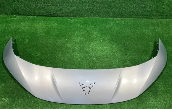 Cupra Born Front bumper splitter molding 10E806333
