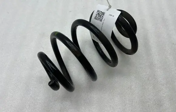 Rear coil spring