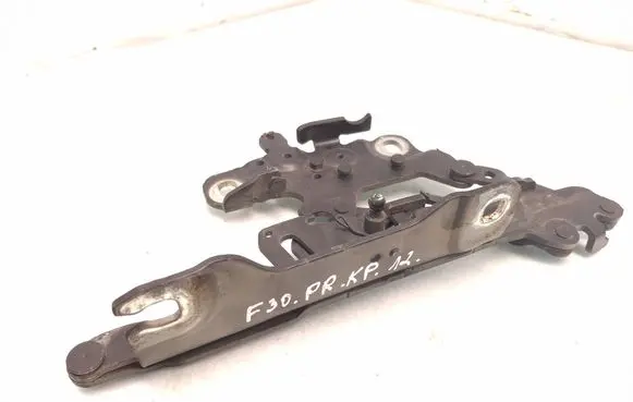 BMW 3 F30 F35 F31 Engine bonnet/hood hinges 13989610 L52312