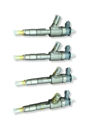 Ford Transit - Tourneo Connect Fuel injector 0445110489 CV6Q9F593AA