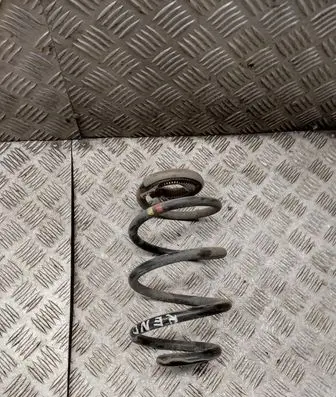 Rear coil spring