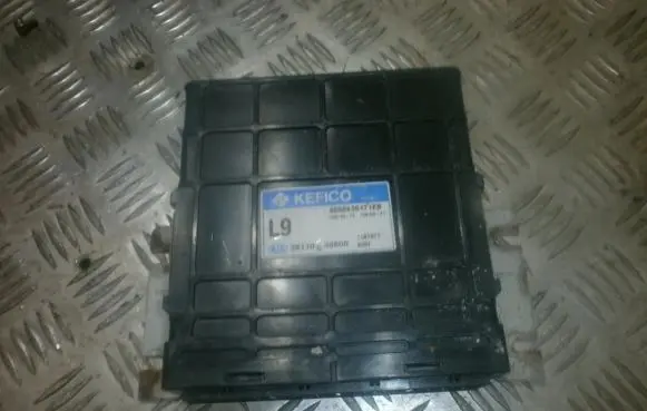 KIA Carnival Engine control unit/module 3911039600