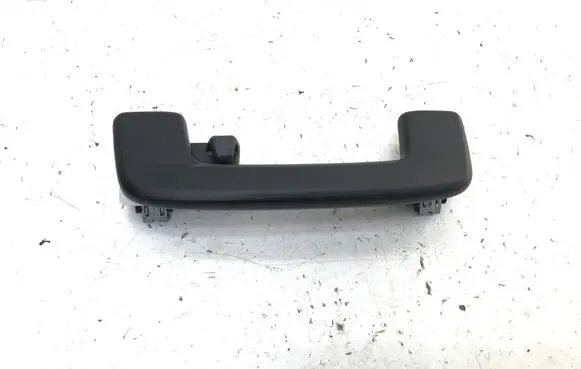 Skoda Enyaq iV Rear interior roof grab handle 10A857643
