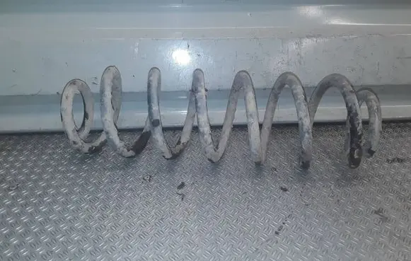 Skoda Roomster (5J) Rear coil spring 