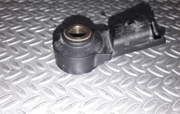 Peugeot 206 Detonation knock sensor 0261231168