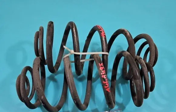 Rear coil spring