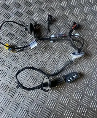 Front door wiring loom