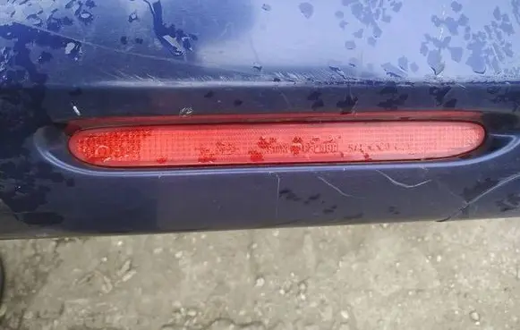 Honda Accord Rear tail light reflector 